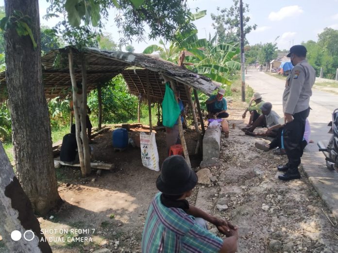 IMG-20201120-WA0003(3)