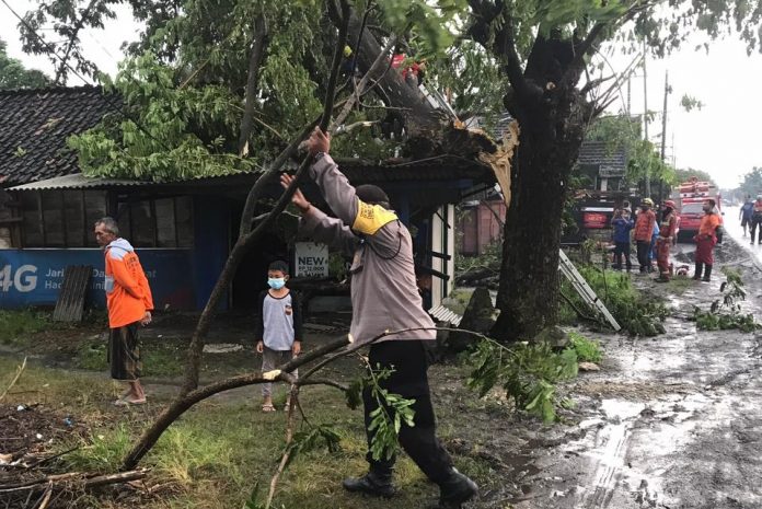 IMG-20210301-WA0015(1)