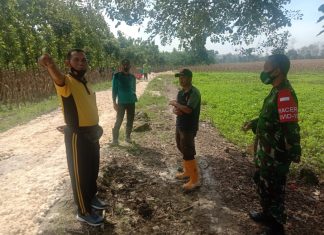 *Polsek Widang bersama Koramil dan Perhutani Cek Lokasi Yang Akan Dikunjungi Menteri KLHK Dan Gubernur*