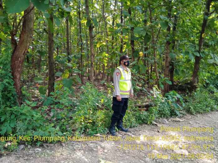 IMG-20210318-WA0005(1)