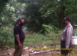 AntisipasiBencana Alam Pohon Tumbang dan Tanah Longsor Polsek Montong Polres Tuban Tingkatkan Patroli Bersama Perhutani