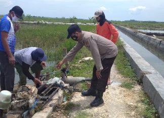 *Kunjungan ke Desa Binaan, Bhabinkamtimas Polsek Widang Sampaikan Imbauan Kerawanan Pencurian Traktor dan Mesin Pompa Air*