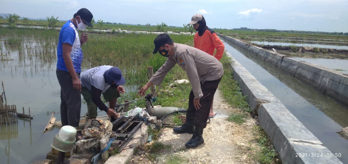 IMG-20210324-WA0015(1)