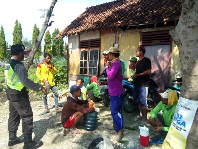 IMG-20210505-WA0008(1)