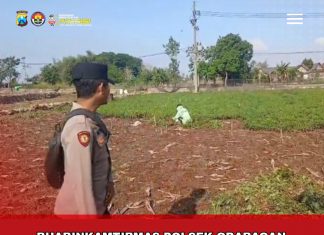 Guna Dukung Ketahanan Pangan Bhabinkamtibmas Kunjungi Perkarangan Warga Desa