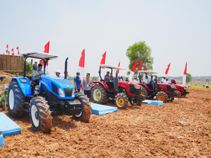 WhatsApp Image 2025-10-08 at 13.12.12