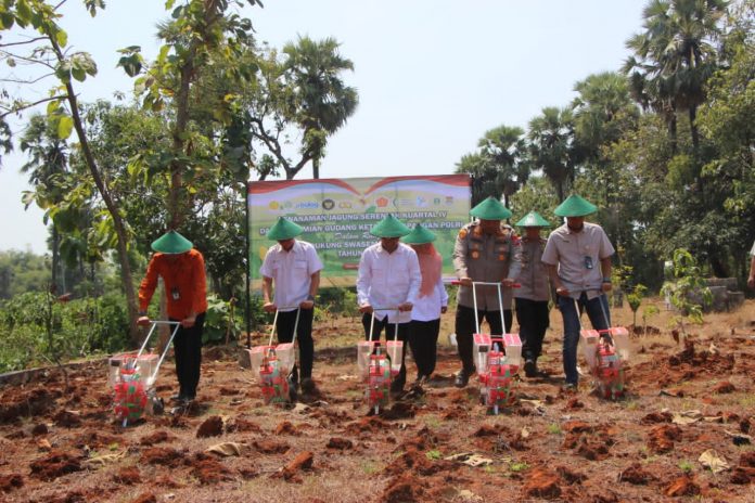 WhatsApp Image 2025-10-08 at 13.51.17