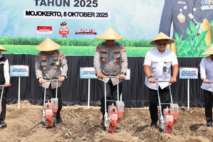 WhatsApp Image 2025-10-09 at 06.59.32