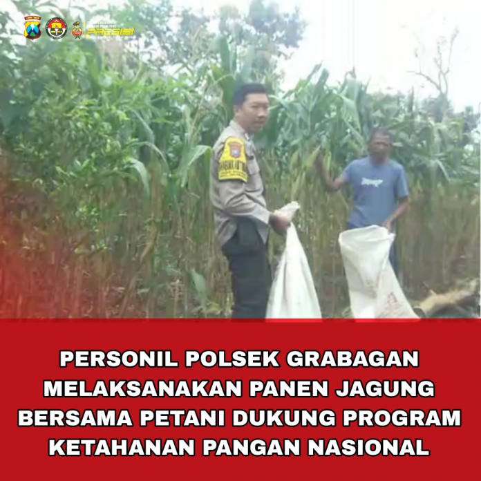 Picsart_25-11-07_08-30-15-220