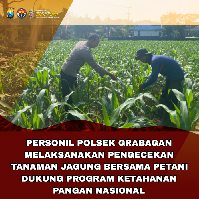 Picsart_25-11-15_12-35-24-498