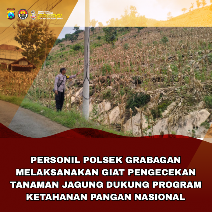 Picsart_25-11-17_12-52-32-034