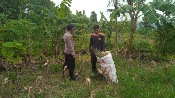 IMG-20251110-WA0004(1)