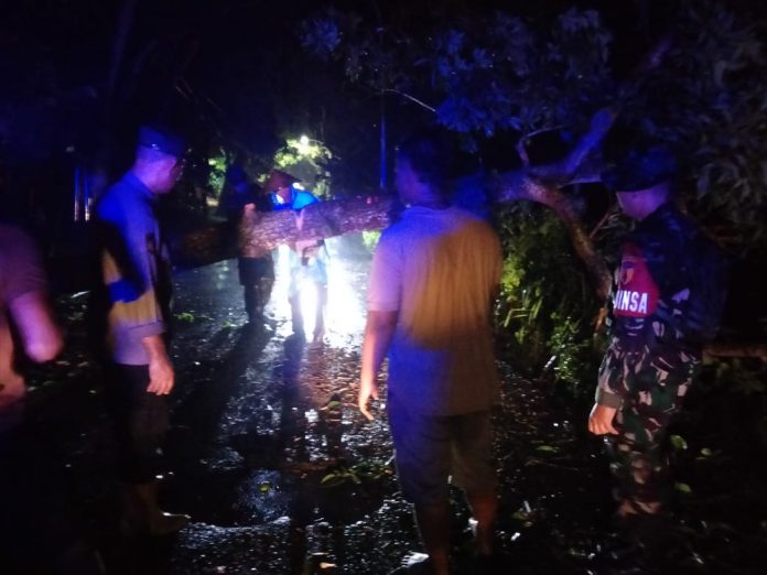 WhatsApp Image 2025-12-09 at 11.33.14 (1)