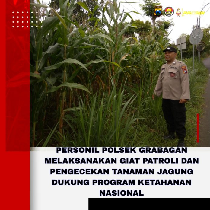 Picsart_26-01-28_12-45-50-706(1)