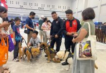 Polisi Satwa K-9 Ramaikan Pet Adventure Wonderland di PIK, Edukasi Masyarakat Disambut Antusias